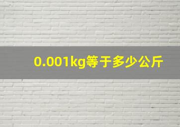 0.001kg等于多少公斤