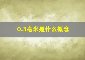 0.3毫米是什么概念