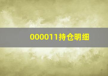 000011持仓明细