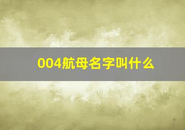 004航母名字叫什么