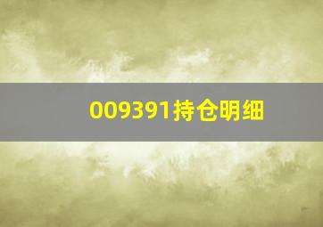 009391持仓明细