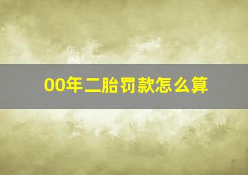 00年二胎罚款怎么算