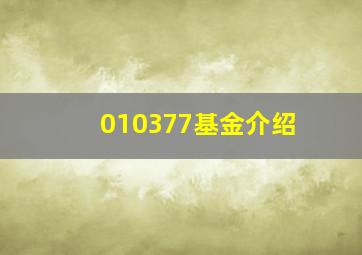 010377基金介绍