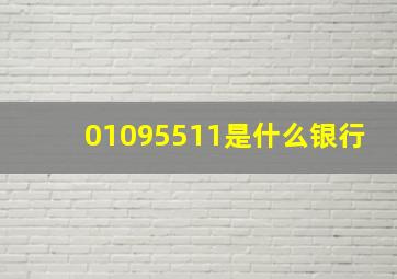 01095511是什么银行