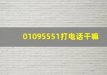 01095551打电话干嘛