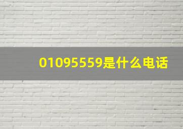 01095559是什么电话