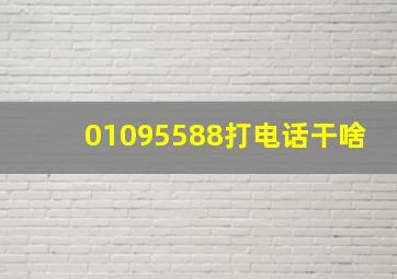 01095588打电话干啥