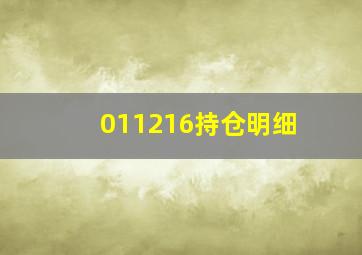 011216持仓明细