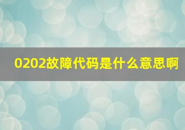 0202故障代码是什么意思啊