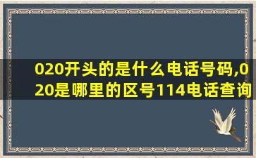 020开头的是什么电话号码,020是哪里的区号114电话查询