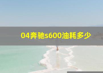 04奔驰s600油耗多少