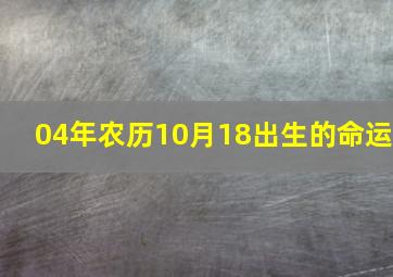 04年农历10月18出生的命运