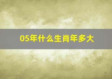 05年什么生肖年多大