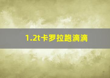 1.2t卡罗拉跑滴滴