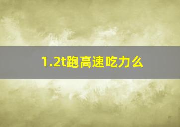 1.2t跑高速吃力么