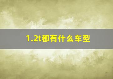 1.2t都有什么车型