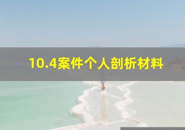 10.4案件个人剖析材料