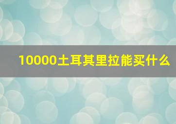 10000土耳其里拉能买什么