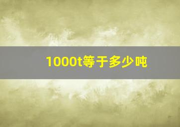 1000t等于多少吨