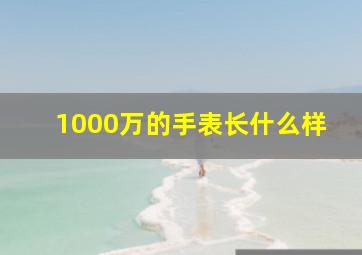 1000万的手表长什么样