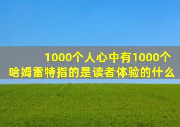 1000个人心中有1000个哈姆雷特指的是读者体验的什么