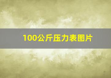 100公斤压力表图片