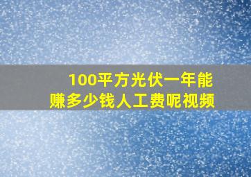 100平方光伏一年能赚多少钱人工费呢视频