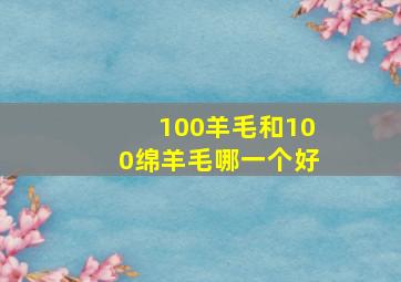 100羊毛和100绵羊毛哪一个好