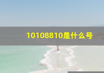 10108810是什么号