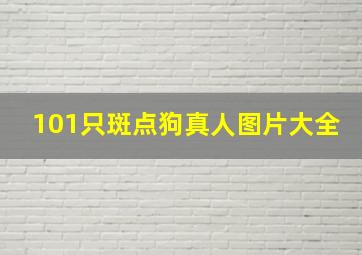 101只斑点狗真人图片大全