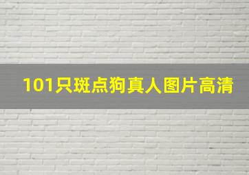 101只斑点狗真人图片高清