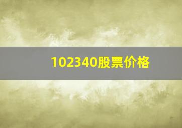 102340股票价格