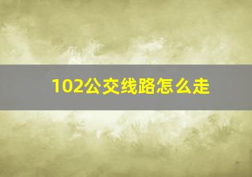 102公交线路怎么走