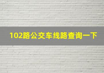 102路公交车线路查询一下