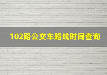 102路公交车路线时间查询