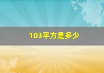 103平方是多少