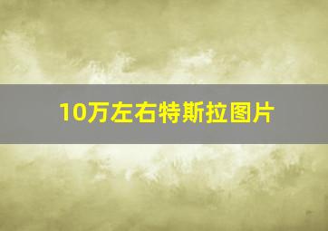 10万左右特斯拉图片