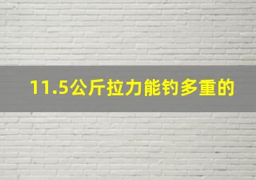 11.5公斤拉力能钓多重的