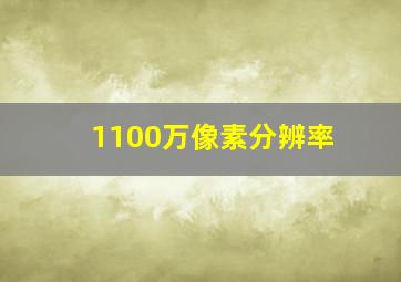 1100万像素分辨率