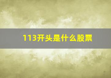 113开头是什么股票