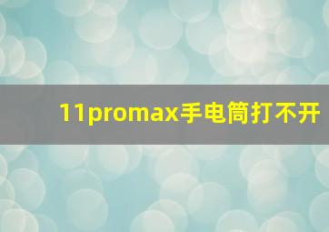 11promax手电筒打不开