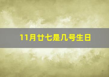 11月廿七是几号生日