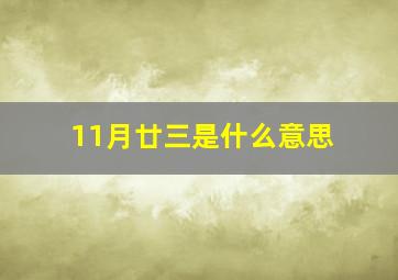 11月廿三是什么意思