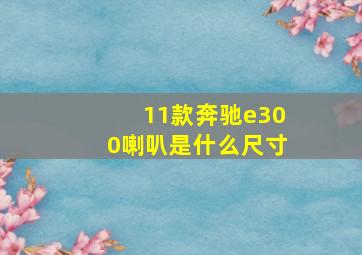 11款奔驰e300喇叭是什么尺寸