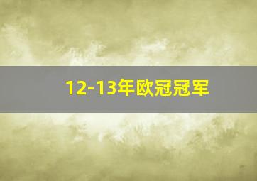 12-13年欧冠冠军