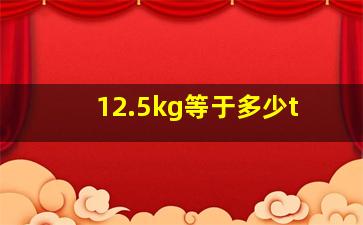 12.5kg等于多少t