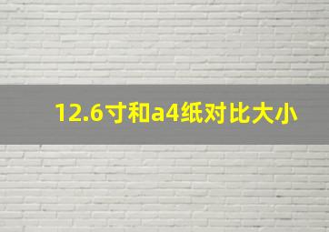 12.6寸和a4纸对比大小