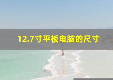 12.7寸平板电脑的尺寸