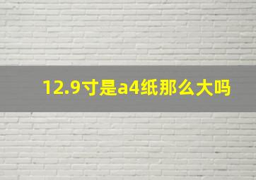 12.9寸是a4纸那么大吗