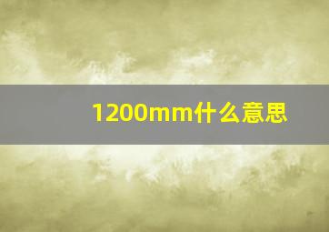 1200mm什么意思